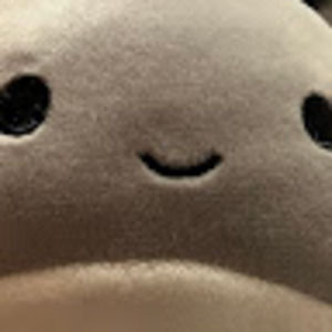 Meet your Posher, Maaheen